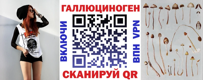 Купить  Алексеевка  Псилоцибиновые грибы прущие грибы 